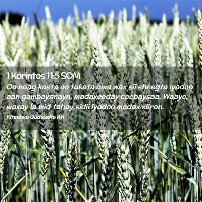 Picture 02 - 1 Korintos 11:5 SOM - Oo naag kasta oo tukata ama wax sii sheegta - Bible Verse Picture