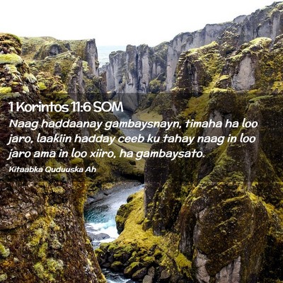 Picture 02 - 1 Korintos 11:6 SOM - Naag haddaanay gambaysnayn, timaha ha loo jaro, - Bible Verse Picture
