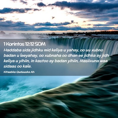 Picture 02 - 1 Korintos 12:12 SOM - Haddaba sida jidhku mid keliya u yahay, oo uu - Bible Verse Picture