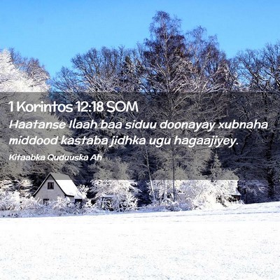 Picture 02 - 1 Korintos 12:18 SOM - Haatanse Ilaah baa siduu doonayay xubnaha middood - Bible Verse Picture