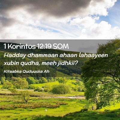 Picture 02 - 1 Korintos 12:19 SOM - Hadday dhammaan ahaan lahaayeen xubin qudha, meeh - Bible Verse Picture