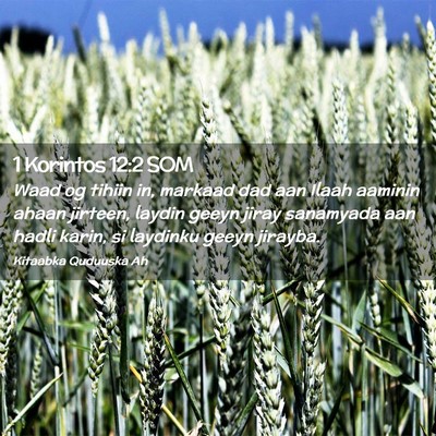 Picture 02 - 1 Korintos 12:2 SOM - Waad og tihiin in, markaad dad aan Ilaah aaminin - Bible Verse Picture