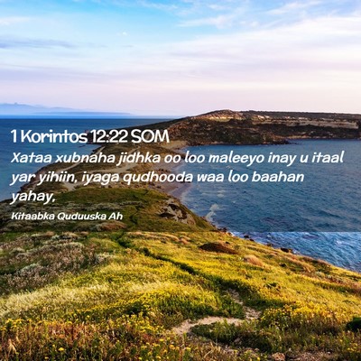 Picture 02 - 1 Korintos 12:22 SOM - Xataa xubnaha jidhka oo loo maleeyo inay u itaal - Bible Verse Picture