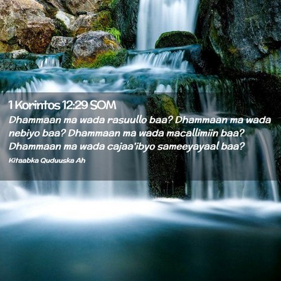 Picture 02 - 1 Korintos 12:29 SOM - Dhammaan ma wada rasuullo baa? Dhammaan ma wada - Bible Verse Picture