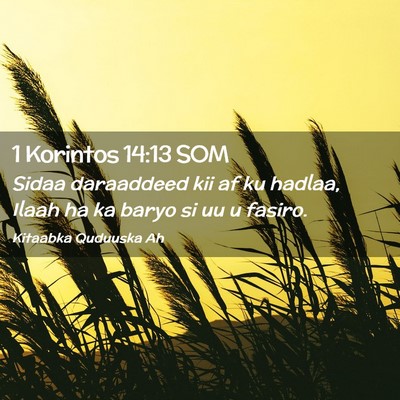 Picture 02 - 1 Korintos 14:13 SOM - Sidaa daraaddeed kii af ku hadlaa, Ilaah ha ka - Bible Verse Picture