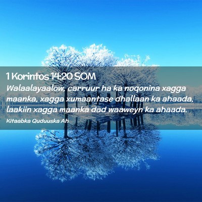 Picture 02 - 1 Korintos 14:20 SOM - Walaalayaalow, carruur ha ka noqonina xagga - Bible Verse Picture