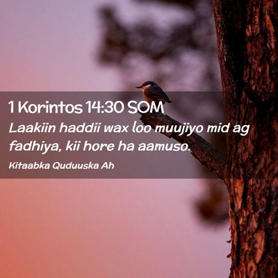 Picture 02 - 1 Korintos 14:30 SOM - Laakiin haddii wax loo muujiyo mid ag fadhiya, - Bible Verse Picture