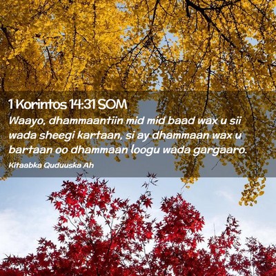 Picture 02 - 1 Korintos 14:31 SOM - Waayo, dhammaantiin mid mid baad wax u sii wada - Bible Verse Picture