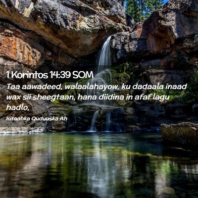 Picture 02 - 1 Korintos 14:39 SOM - Taa aawadeed, walaalahayow, ku dadaala inaad wax - Bible Verse Picture