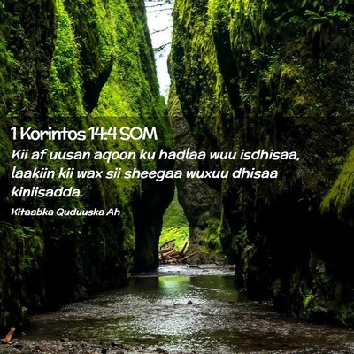 Picture 02 - 1 Korintos 14:4 SOM - Kii af uusan aqoon ku hadlaa wuu isdhisaa, - Bible Verse Picture
