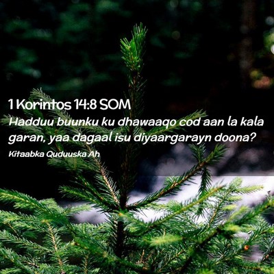 Picture 02 - 1 Korintos 14:8 SOM - Hadduu buunku ku dhawaaqo cod aan la kala garan, - Bible Verse Picture