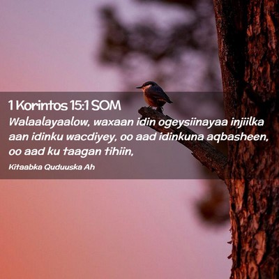 Picture 02 - 1 Korintos 15:1 SOM - Walaalayaalow, waxaan idin ogeysiinayaa injiilka - Bible Verse Picture