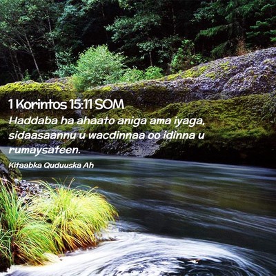 Picture 02 - 1 Korintos 15:11 SOM - Haddaba ha ahaato aniga ama iyaga, sidaasaannu u - Bible Verse Picture
