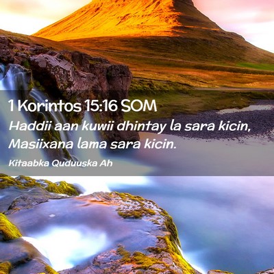 Picture 02 - 1 Korintos 15:16 SOM - Haddii aan kuwii dhintay la sara kicin, Masiixana - Bible Verse Picture