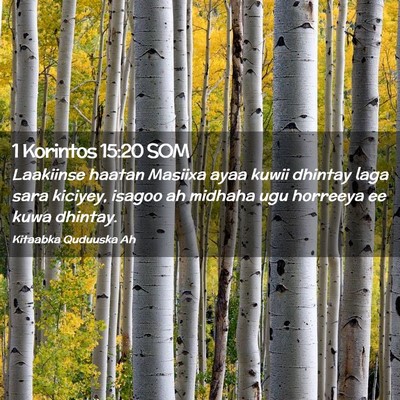 Picture 02 - 1 Korintos 15:20 SOM - Laakiinse haatan Masiixa ayaa kuwii dhintay laga - Bible Verse Picture