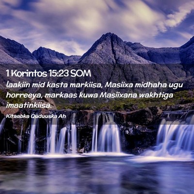 Picture 02 - 1 Korintos 15:23 SOM - laakiin mid kasta markiisa, Masiixa midhaha ugu - Bible Verse Picture