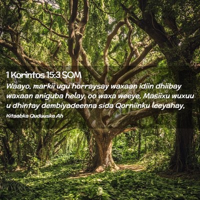 Picture 02 - 1 Korintos 15:3 SOM - Waayo, markii ugu horraysay waxaan idiin dhiibay - Bible Verse Picture