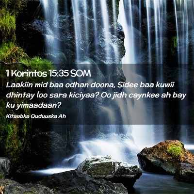 Picture 02 - 1 Korintos 15:35 SOM - Laakiin mid baa odhan doona, Sidee baa kuwii - Bible Verse Picture