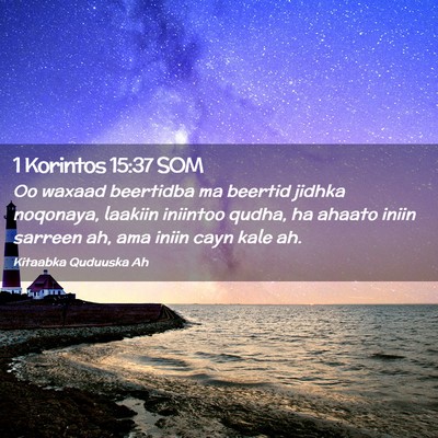 Picture 02 - 1 Korintos 15:37 SOM - Oo waxaad beertidba ma beertid jidhka noqonaya, - Bible Verse Picture