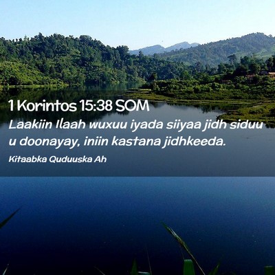 Picture 02 - 1 Korintos 15:38 SOM - Laakiin Ilaah wuxuu iyada siiyaa jidh siduu u - Bible Verse Picture