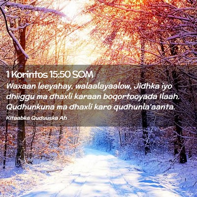 Picture 02 - 1 Korintos 15:50 SOM - Waxaan leeyahay, walaalayaalow, Jidhka iyo - Bible Verse Picture