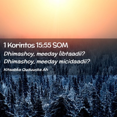 Picture 02 - 1 Korintos 15:55 SOM - Dhimashoy, meeday libtaadii? Dhimashoy, meeday - Bible Verse Picture