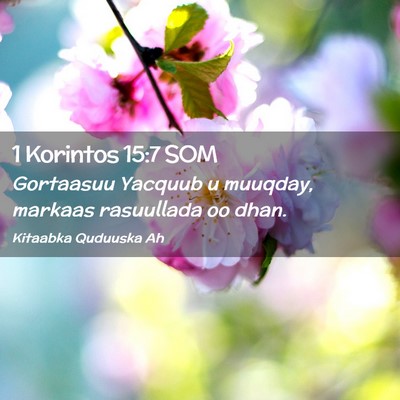 Picture 02 - 1 Korintos 15:7 SOM - Gortaasuu Yacquub u muuqday, markaas rasuullada - Bible Verse Picture
