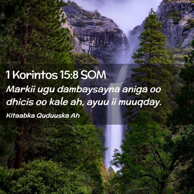 Picture 02 - 1 Korintos 15:8 SOM - Markii ugu dambaysayna aniga oo dhicis oo kale - Bible Verse Picture