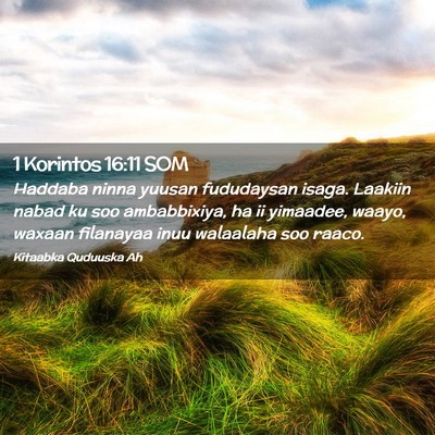 Picture 02 - 1 Korintos 16:11 SOM - Haddaba ninna yuusan fududaysan isaga. Laakiin - Bible Verse Picture