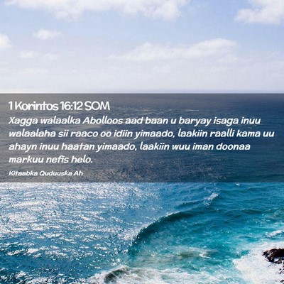Picture 02 - 1 Korintos 16:12 SOM - Xagga walaalka Abolloos aad baan u baryay isaga - Bible Verse Picture