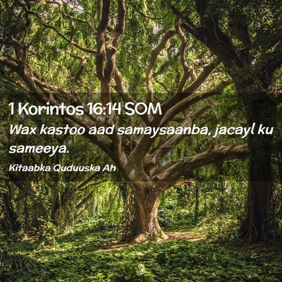 Picture 02 - 1 Korintos 16:14 SOM - Wax kastoo aad samaysaanba, jacayl ku - Bible Verse Picture