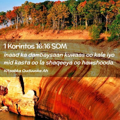 Picture 02 - 1 Korintos 16:16 SOM - inaad ka dambaysaan kuwaas oo kale iyo mid kasta - Bible Verse Picture
