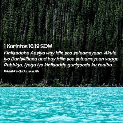 Picture 02 - 1 Korintos 16:19 SOM - Kiniisadaha Aasiya way idin soo salaamayaan. - Bible Verse Picture