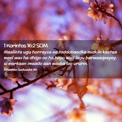 Picture 02 - 1 Korintos 16:2 SOM - Maalinta ugu horraysa ee toddobaadka midkiin - Bible Verse Picture