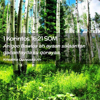 Picture 02 - 1 Korintos 16:21 SOM - Anigoo Bawlos ah ayaan salaantan gacantayda ku - Bible Verse Picture