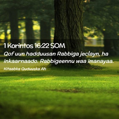 Picture 02 - 1 Korintos 16:22 SOM - Qof uun hadduusan Rabbiga jeclayn, ha - Bible Verse Picture