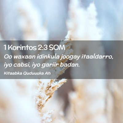 Picture 02 - 1 Korintos 2:3 SOM - Oo waxaan idinkula joogay itaaldarro, iyo cabsi, - Bible Verse Picture