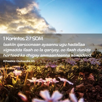 Picture 02 - 1 Korintos 2:7 SOM - laakiin qarsoonaan ayaannu ugu hadallaa xigmadda - Bible Verse Picture