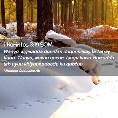 Picture 02 - 1 Korintos 3:19 SOM - Waayo, xigmadda dunidan doqonnimay la tahay - Bible Verse Picture