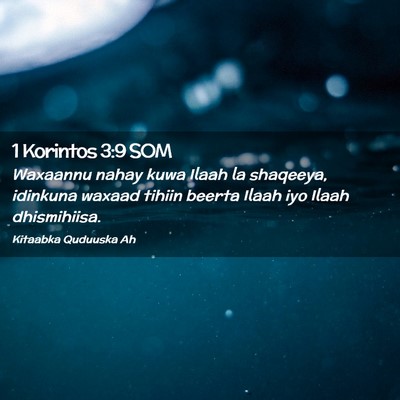 Picture 02 - 1 Korintos 3:9 SOM - Waxaannu nahay kuwa Ilaah la shaqeeya, idinkuna - Bible Verse Picture