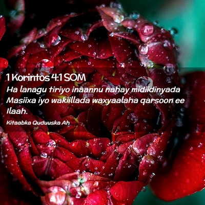 Picture 02 - 1 Korintos 4:1 SOM - Ha lanagu tiriyo inaannu nahay midiidinyada - Bible Verse Picture