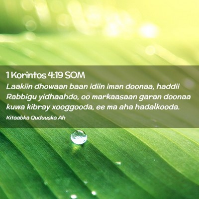 Picture 02 - 1 Korintos 4:19 SOM - Laakiin dhowaan baan idiin iman doonaa, haddii - Bible Verse Picture