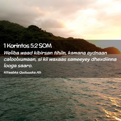 Picture 02 - 1 Korintos 5:2 SOM - Weliba waad kibirsan tihiin, kamana aydnaan - Bible Verse Picture