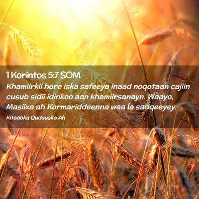 Picture 02 - 1 Korintos 5:7 SOM - Khamiirkii hore iska safeeya inaad noqotaan - Bible Verse Picture