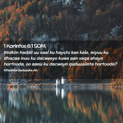 Picture 02 - 1 Korintos 6:1 SOM - Midkiin haddii uu xaal ku haysto kan kale, miyuu - Bible Verse Picture