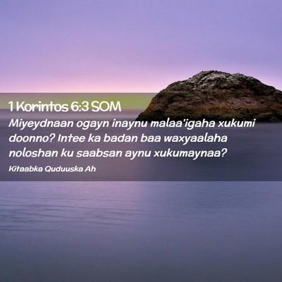Picture 02 - 1 Korintos 6:3 SOM - Miyeydnaan ogayn inaynu malaa'igaha xukumi - Bible Verse Picture