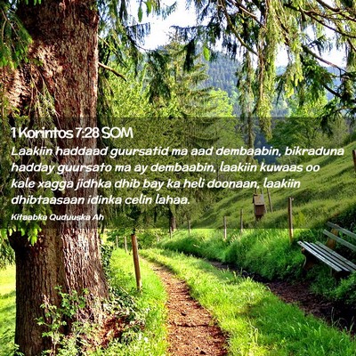 Picture 02 - 1 Korintos 7:28 SOM - Laakiin haddaad guursatid ma aad dembaabin, - Bible Verse Picture