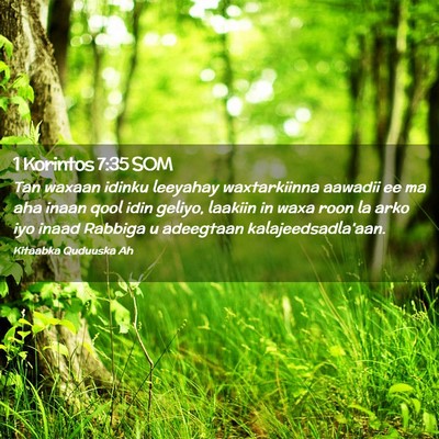 Picture 02 - 1 Korintos 7:35 SOM - Tan waxaan idinku leeyahay waxtarkiinna aawadii - Bible Verse Picture