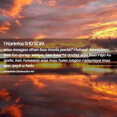 Picture 02 - 1 Korintos 9:10 SOM - mise innagoo dhan buu inoola jeeda? Hubaal, - Bible Verse Picture