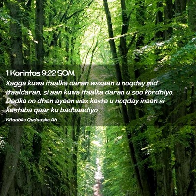 Picture 02 - 1 Korintos 9:22 SOM - Xagga kuwa itaalka daran waxaan u noqday mid - Bible Verse Picture